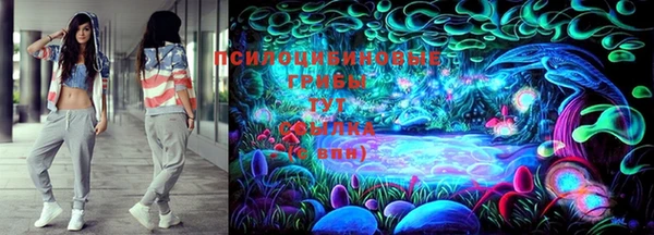 a pvp Алексеевка