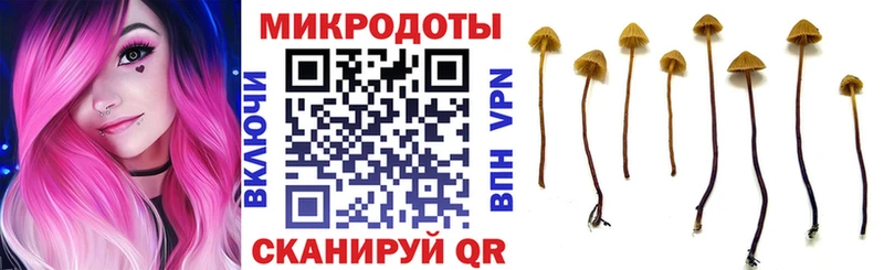 Галлюциногенные грибы Psilocybine cubensis  закладки  Камешково 